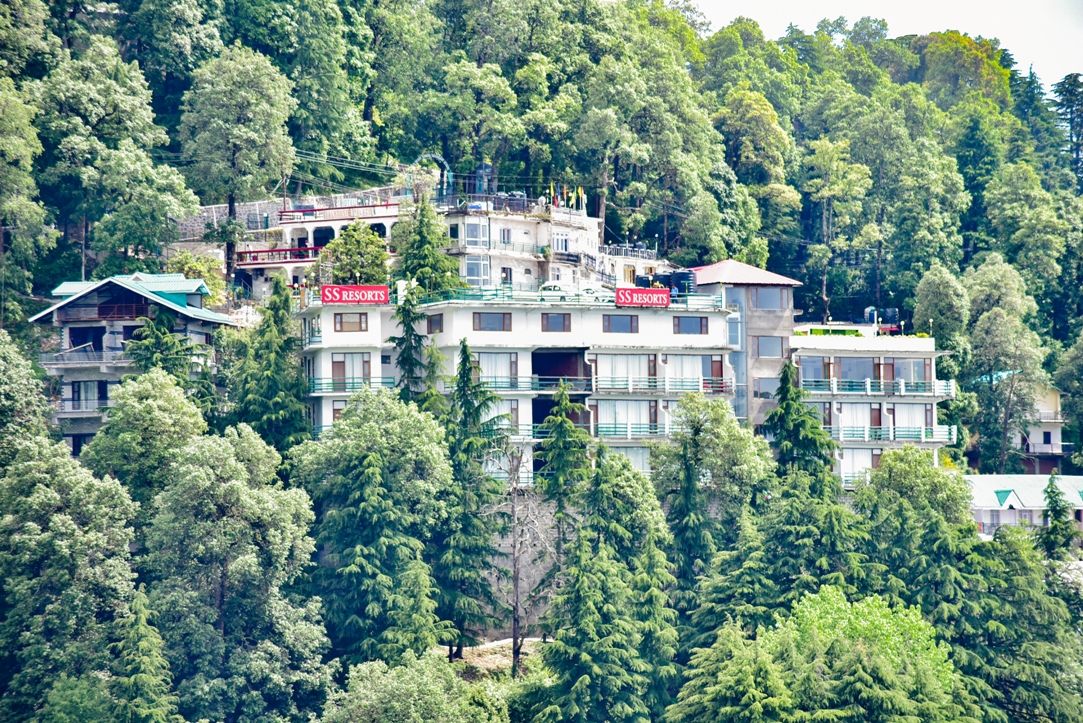 Dalhousie landscape